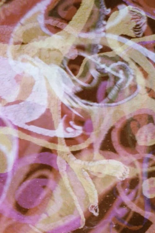 Psychedille (1968) poster