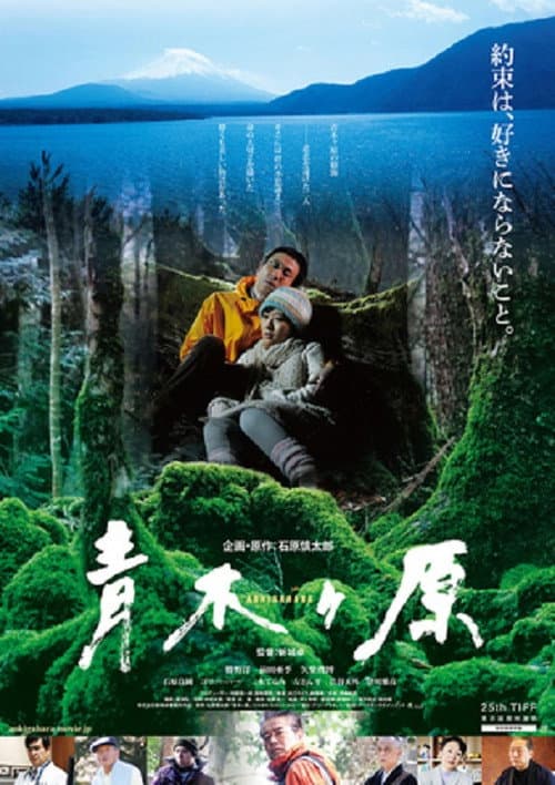 Aokigahara (2013) poster