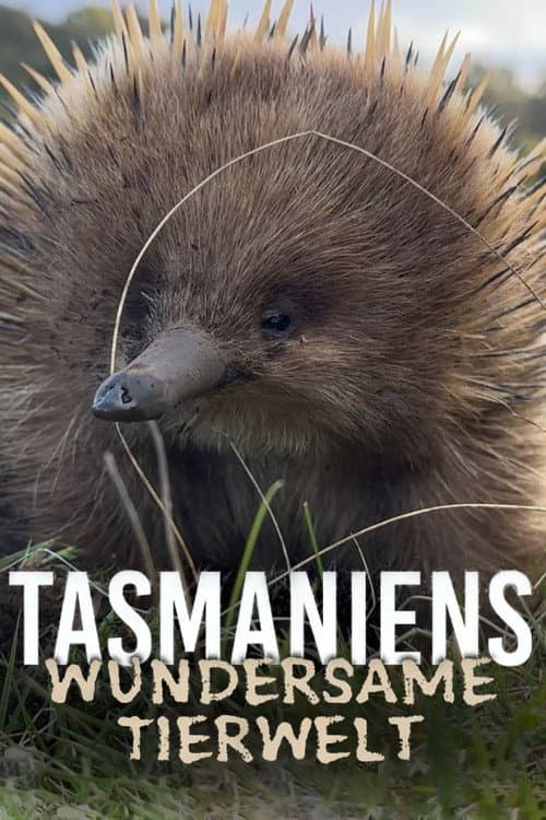 Tasmania’s Wild Treasures poster