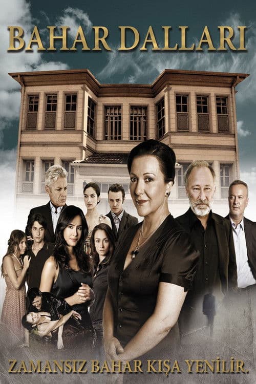 Bahar Dalları (2009) poster