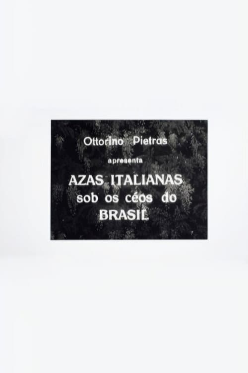 Italian Wings Over the Skies of Brazil (1931) poster