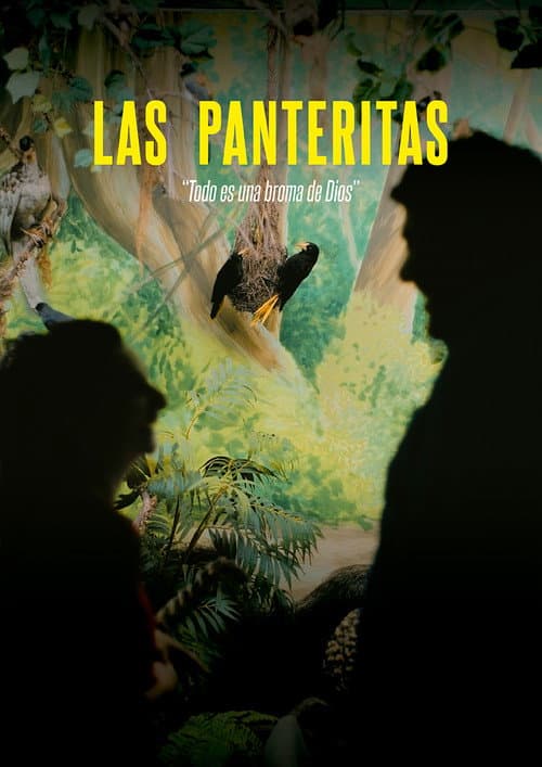 The Little Panthers (2025) poster