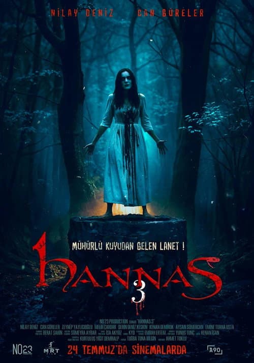 Hannas 3 (2026) poster