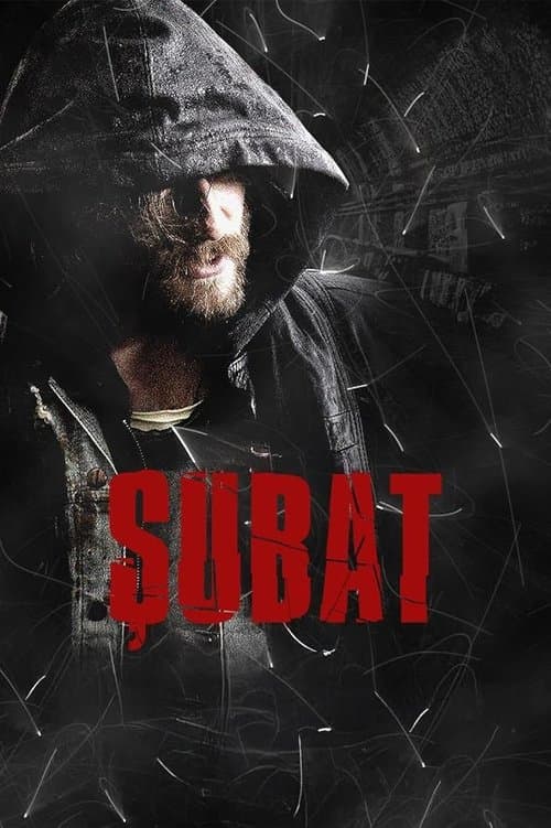 Şubat (2012) poster