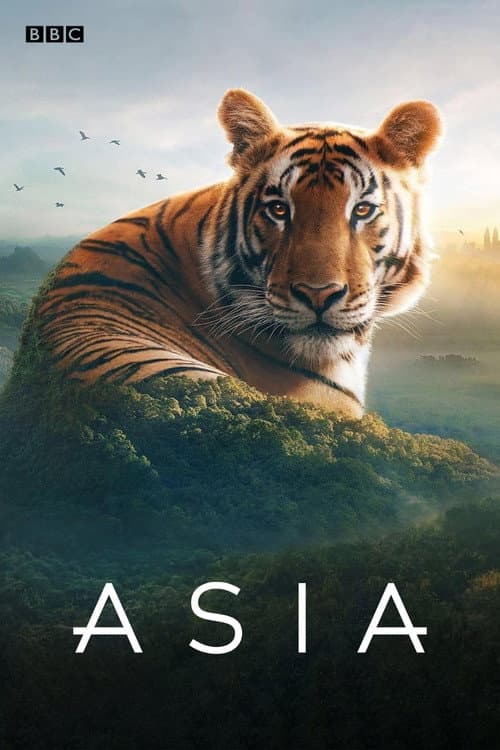 Asia poster
