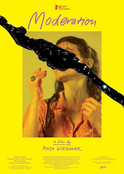 Moderation (2016) poster