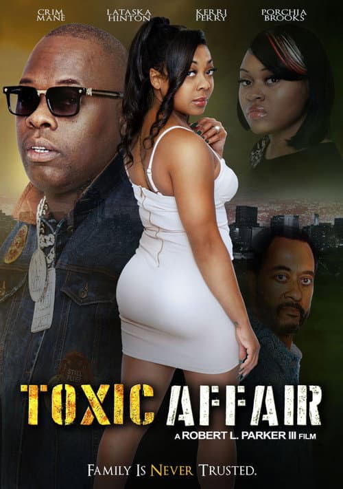 Toxic Affair (2023) poster