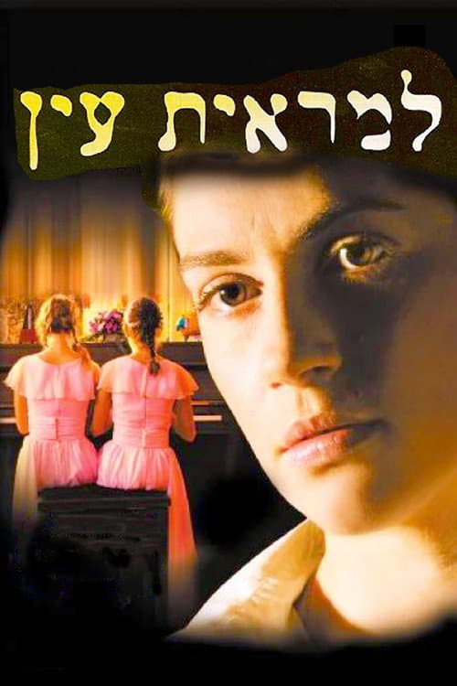 Out of Sight (2006) poster