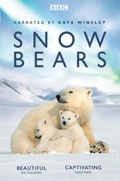 Snow Bears (2017) poster