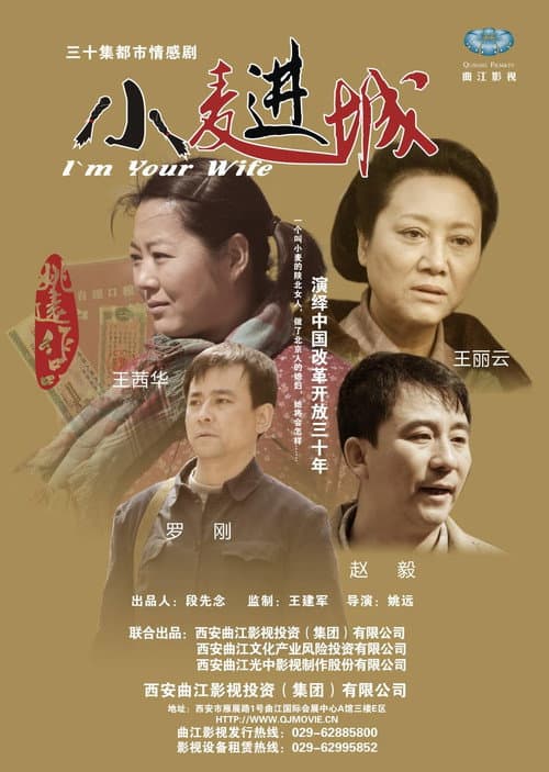 小麦进城 (2012) poster