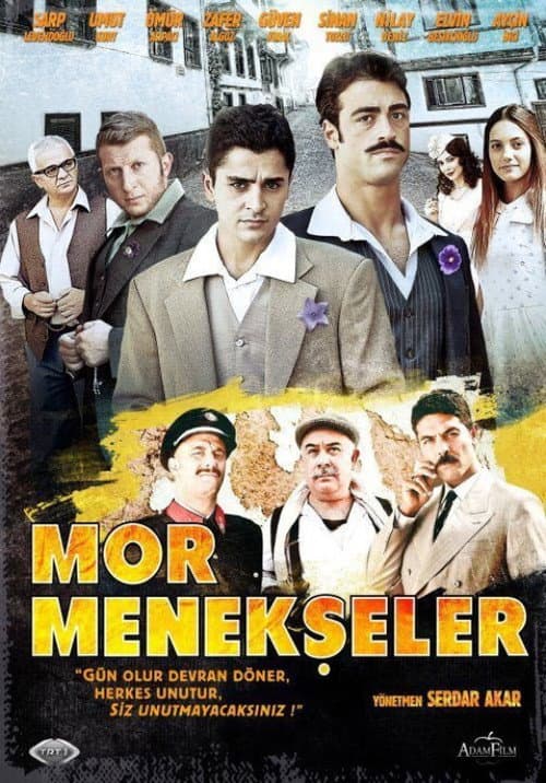 Mor Menekşeler (2011) poster