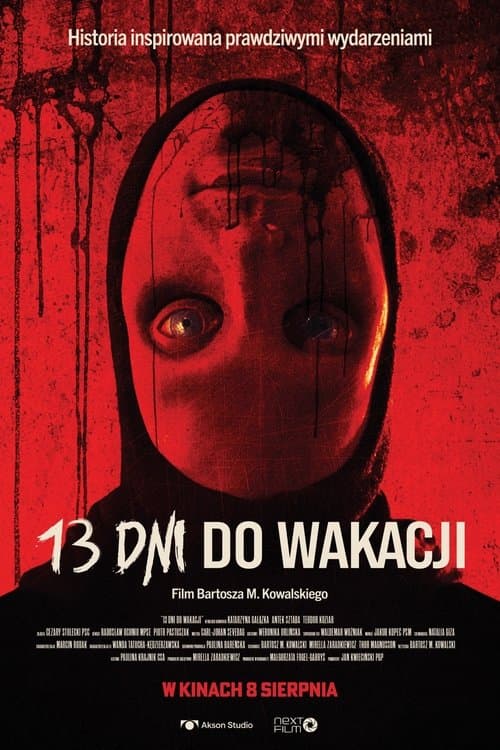 13 Days Till Summer poster