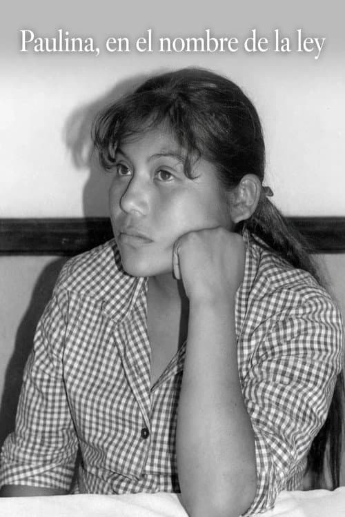 Paulina, en el nombre de la ley (2000) poster