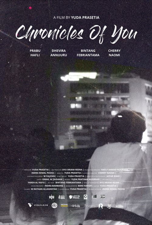 Chronicles of You (2026) poster