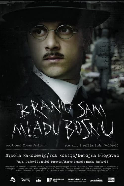The Man Who Defended Gavrilo Princip (2015) poster