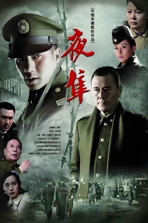 夜隼 (2012) poster