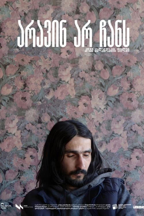 Nobody In Sight (2025) poster