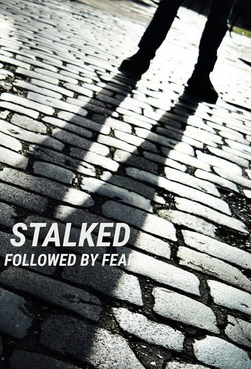 Stalked: Followed By Fear (2021) poster