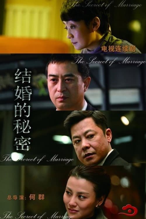 结婚的秘密 (2014) poster