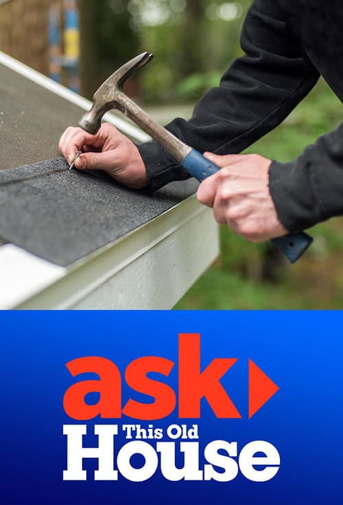 Ask This Old House (2002) poster