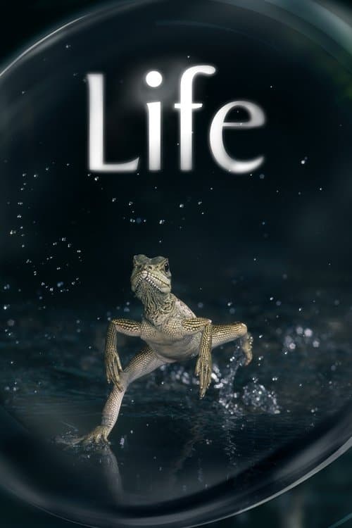 Life (2009) poster