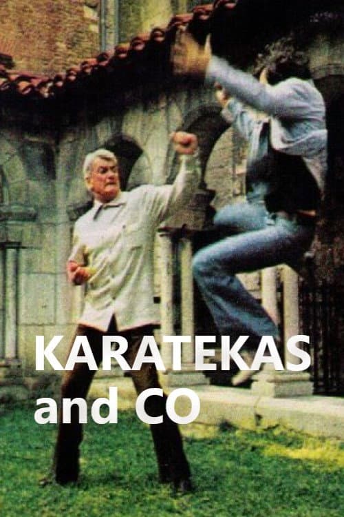 Karatékas and Co (1973) poster