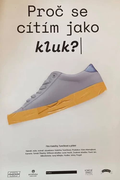 Why Do I Feel like a Boy? poster