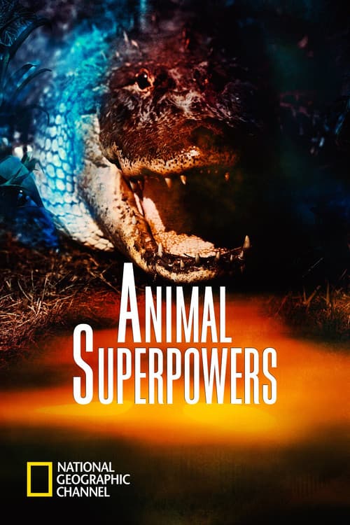 Animal Superpowers (2012) poster