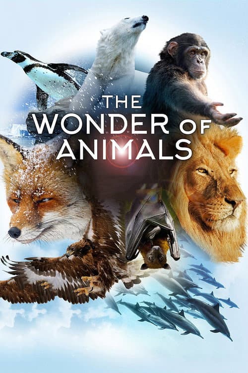 The Wonder of Animals (2014) poster