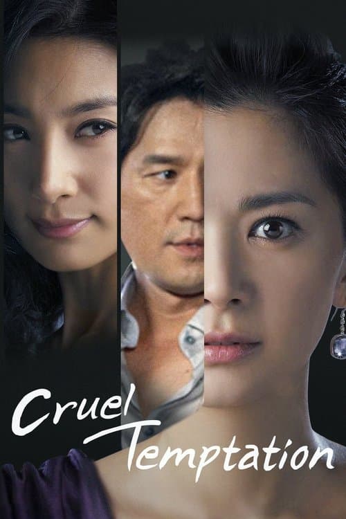 Temptation of Wife (2008) poster