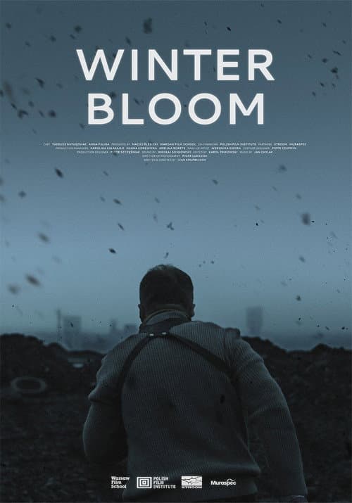 Winter Bloom poster