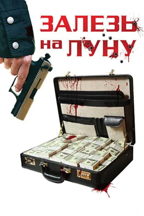 Zalez na Lunu (2010) poster