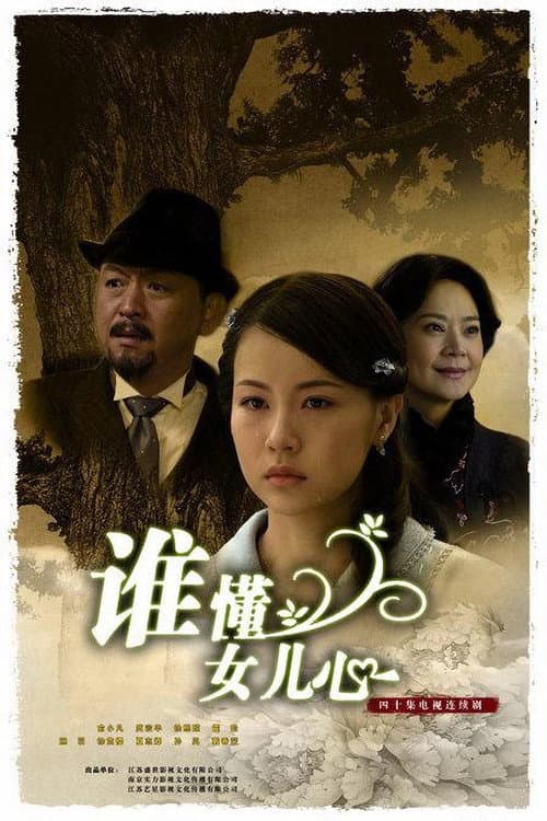 谁懂女儿心 (2009) poster