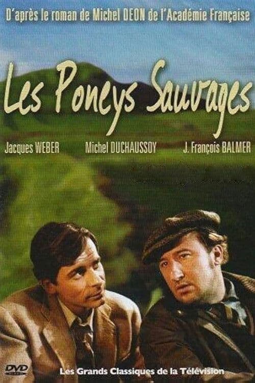 Les Poneys sauvages (1983) poster