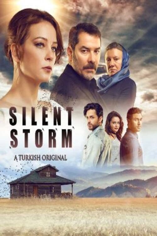 Swallow Storm (2017) poster