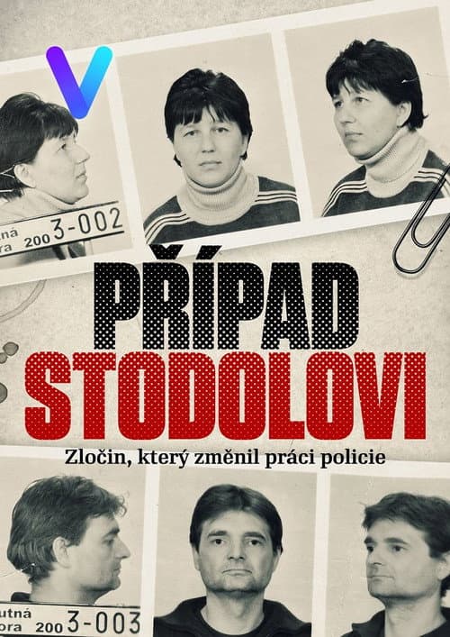 Případ Stodolovi (2024) poster