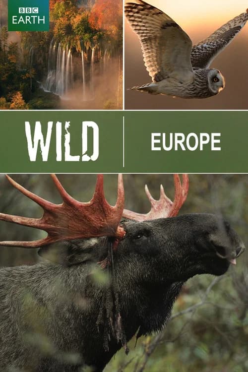 Wild Europe (2005) poster
