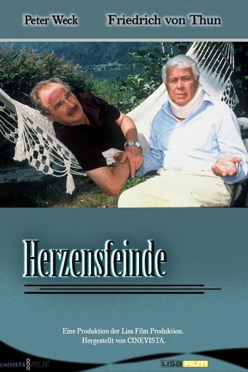 Herzensfeinde (2001) poster