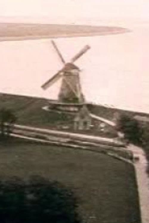 Medemblik (1920) poster