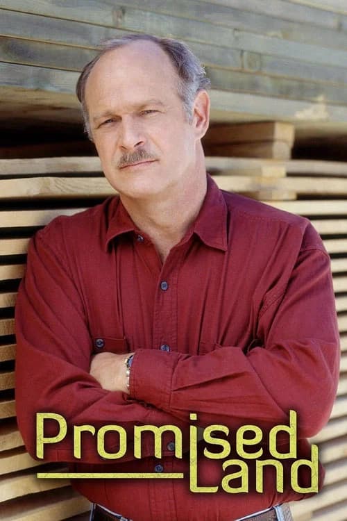Promised Land poster
