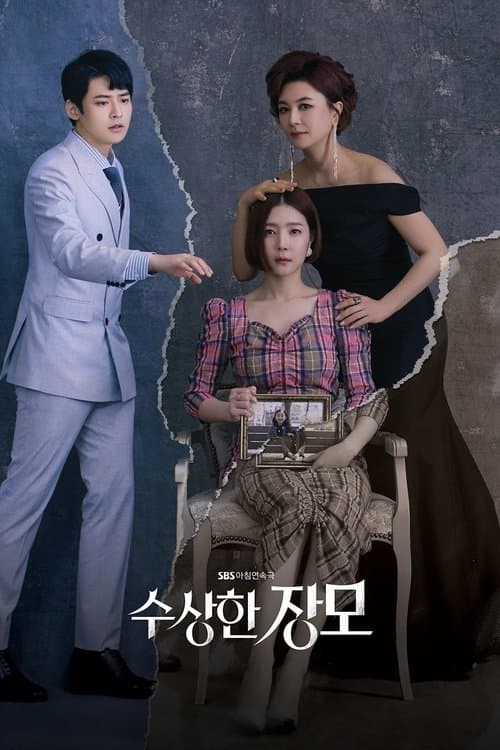 Shady Mom-in-Law (2019) poster