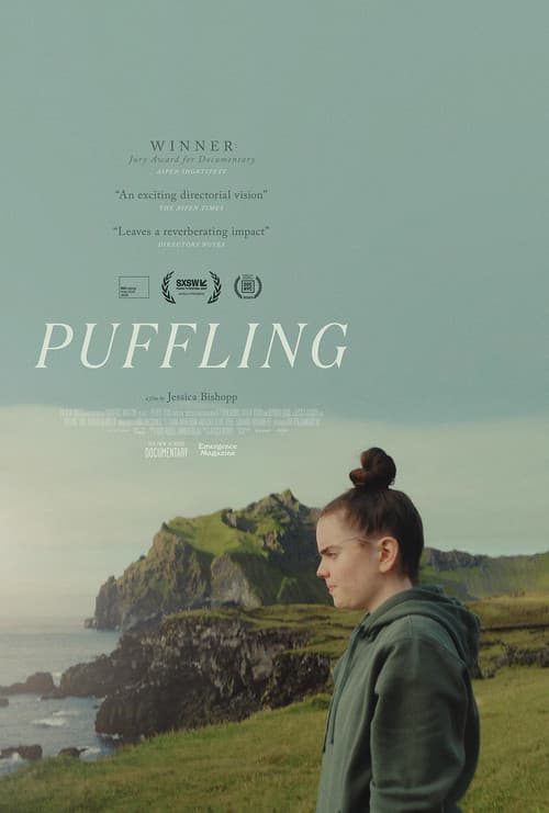 Puffling poster