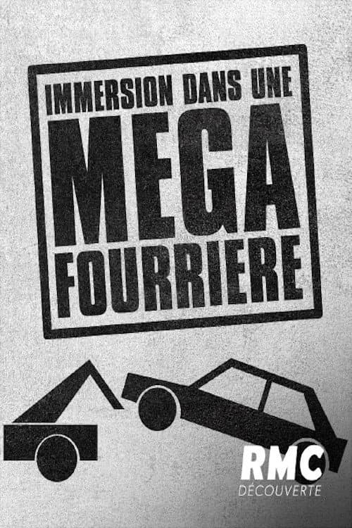 Immersion dans une méga fourrière (2021) poster