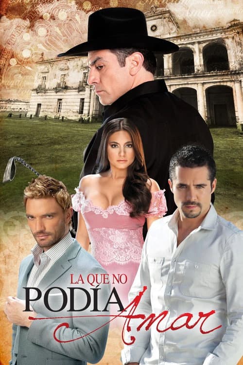 The One Who Couldn't Love (2011) poster