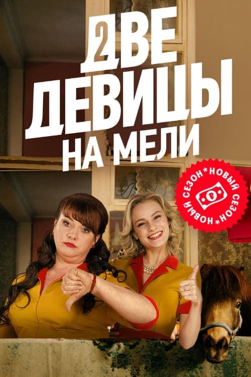 Two Broke Girls (2019) poster