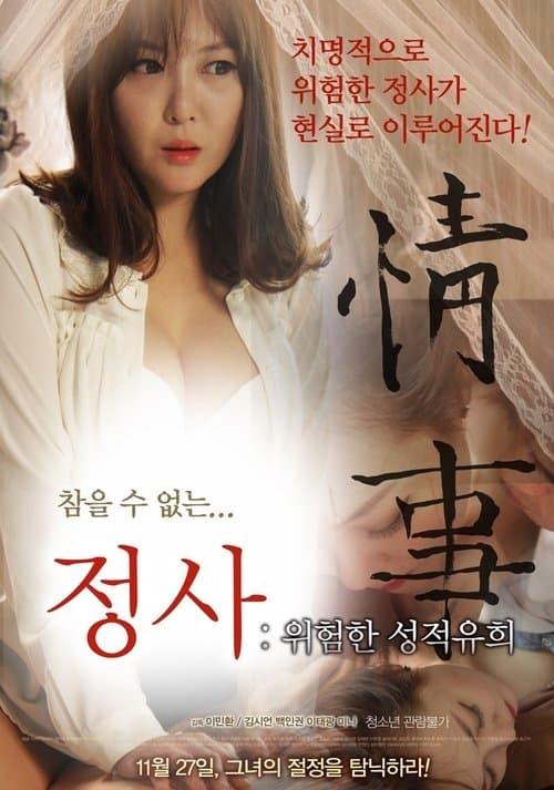An Affair: A Dangerous Sexual Play (2014) poster