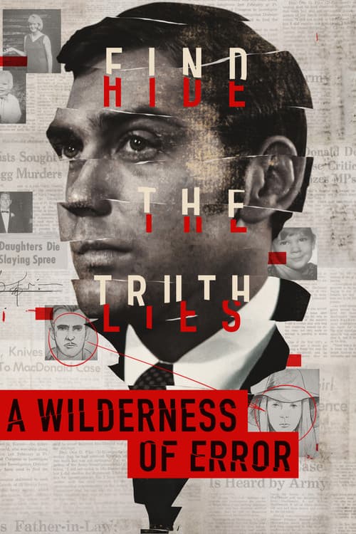 A Wilderness of Error (2020) poster