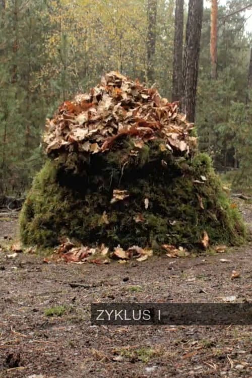 Zyklus I (2010) poster