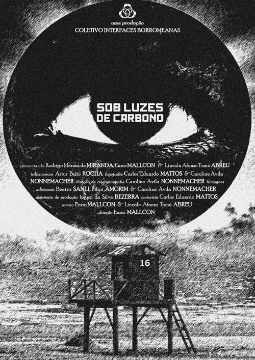 Under Carbon Lights poster