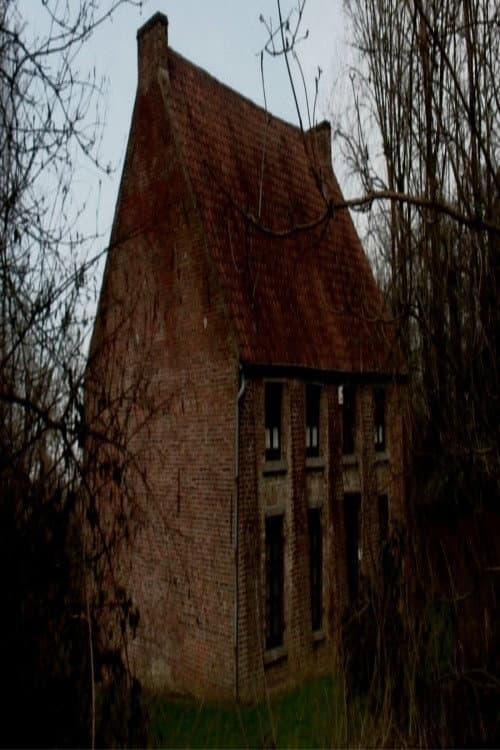 From Vincent's House in the Borinage poster